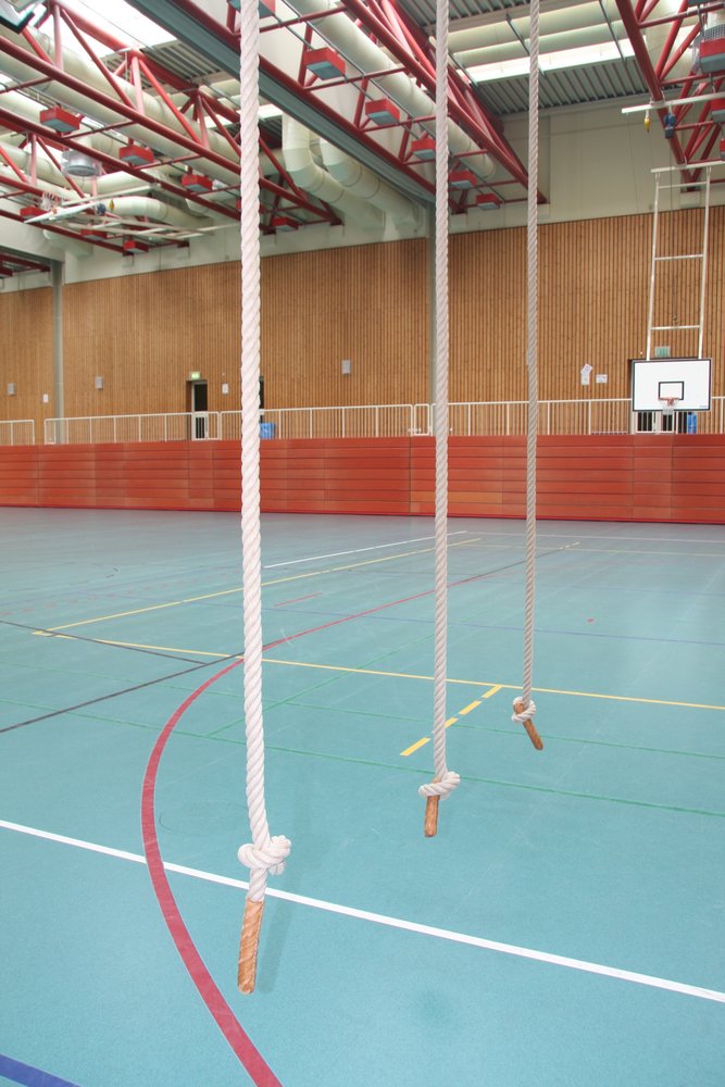 Springen, Fliegen, Schwingen - mit Schwung durch das Kinderturnen